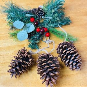 S A L E $20🎄 BIG ♥️Christmas Teardrop Swag With Pinecones🎄